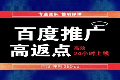 百度竞价SEM深度解析：某行业成功推广经验